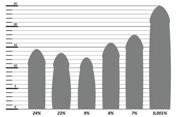 Statistiche sulle dimensioni del pene